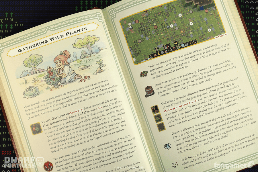 Dwarf Fortress Guidebook