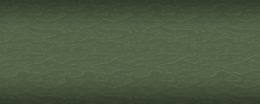 METAL GEAR SOLID Background