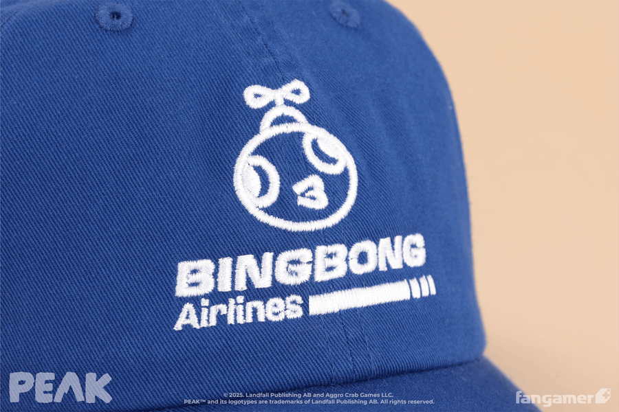 BINGBONG Airlines Hat