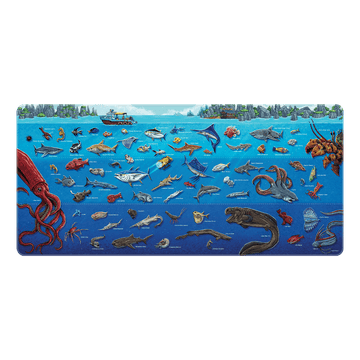 Diver's Desk Mat